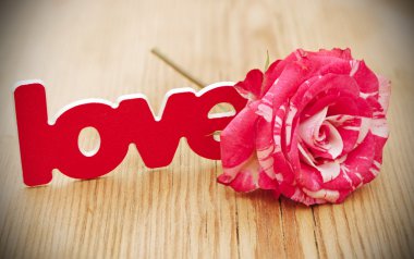 üzerinde kırmızı-beyaz gül ve dağınık çiçek yaprakları ve kelime aşk 