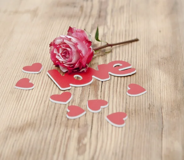 Piros-fehér rózsa és szétszórt virágszirmok és a szó a szerelem — Stock Fotó