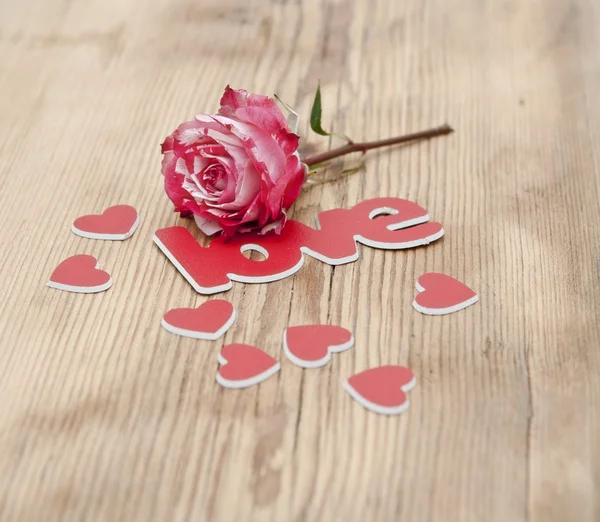 Rot-weiße Rose und verstreute Blütenblätter und das Wort Liebe auf — Stockfoto