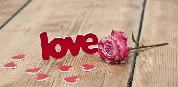 Rot-weiße Rose und verstreute Blütenblätter und das Wort Liebe auf — Stockfoto