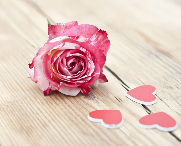 güzel gül çiçek petal rustik tablo ile