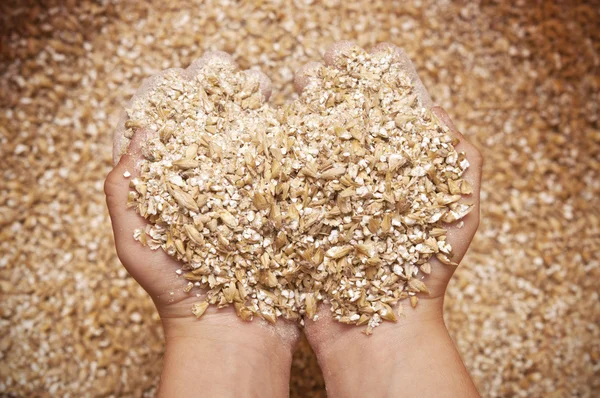 Child's hands holding milled grain — Stock Photo, Image