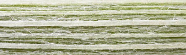 Yeşil yaprak pırasa makro — Stok fotoğraf