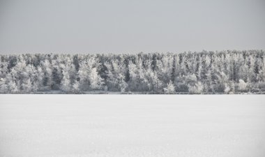 Karlı kış manzarası