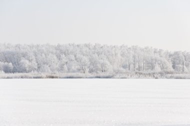 Karlı kış manzarası