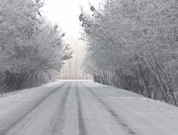 路和白霜冬季树上 — 图库照片