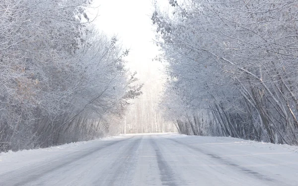 Road and hoar-frost on trees in winter — Stock Photo, Image