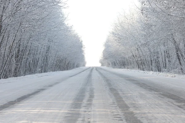 Strada e brina sugli alberi in inverno — Foto Stock