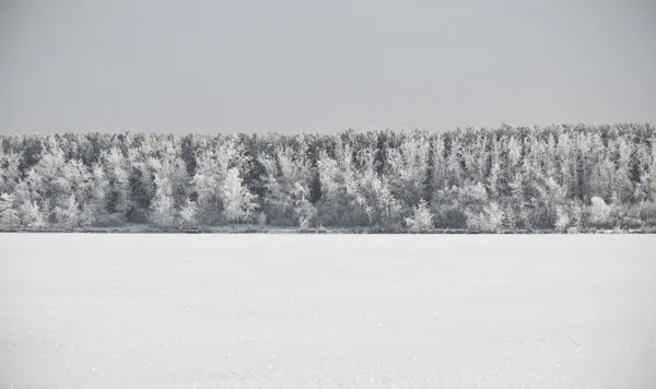 冬季雪景 — 图库照片