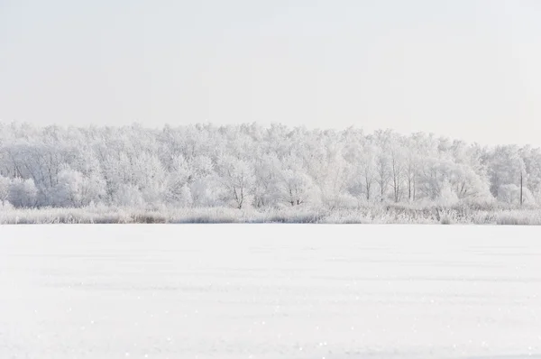 Winter landscape with snow — Stock Photo, Image