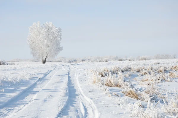 Väg- och rimfrost på träden på vintern — Stockfoto
