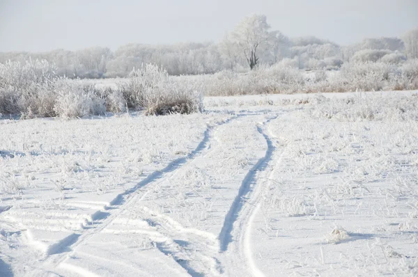 Road and hoar-frost on trees in winter — Stock Photo, Image