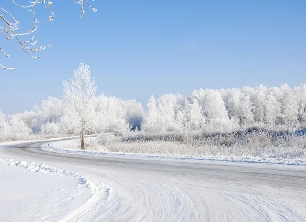 Winter landscape with snow Royalty Free Stock Photos