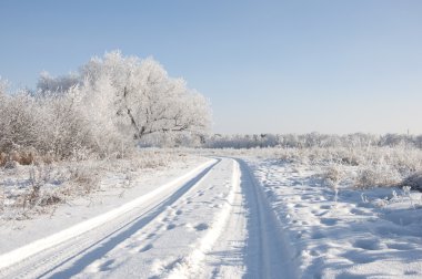 yol ve hoar-frost ağaçları kış 
