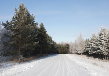 yol ve hoar-frost ağaçları kış 