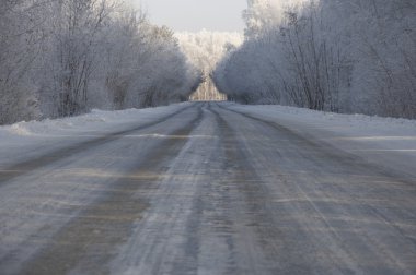 yol ve hoar-frost ağaçları kış 