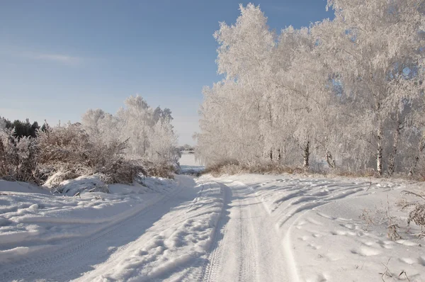 Väg- och rimfrost på träden på vintern — Stockfoto