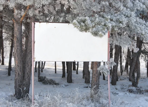 Blank sign in forest — Stock Photo, Image