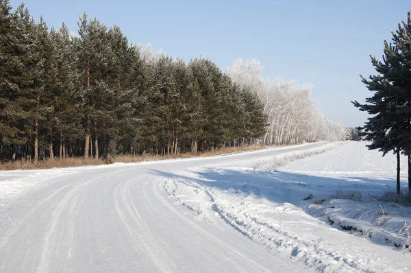 Road and hoar-frost on trees in winter — Stock Photo, Image
