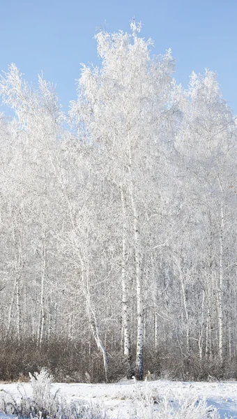 Inverno russo — Foto Stock