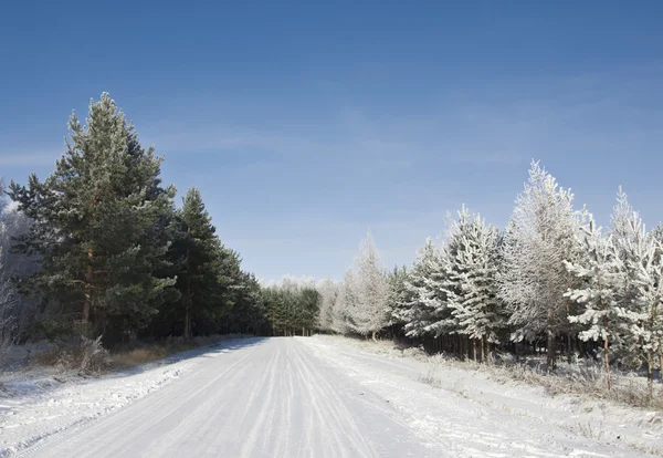 Weg en hoar-vorst op bomen in de winter — Stockfoto