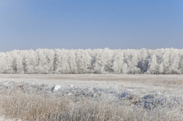 Paisaje de invierno con nieve — Foto de Stock