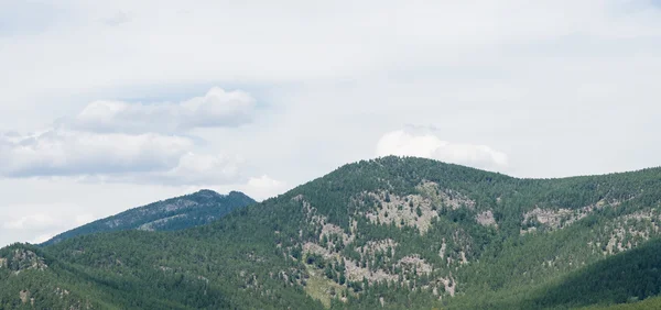 Léto hory zelená tráva a modrá obloha krajina — Stock fotografie