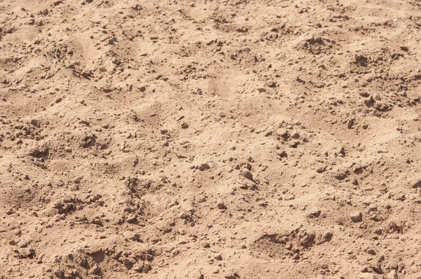 Primo piano di modello di sabbia di una spiaggia nell'estate — Foto Stock