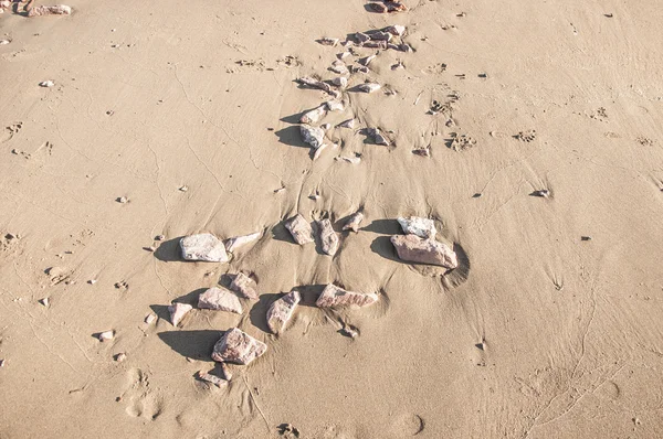 Pedrinhas de areia e pedra. Fundo natural — Fotografia de Stock