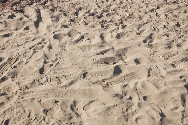 Fußabdrücke im Sand. — Stockfoto