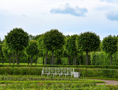 Güneşli yaz gününde ağaçlarla ve renkli çiçeklerle kamu parkı manzarası