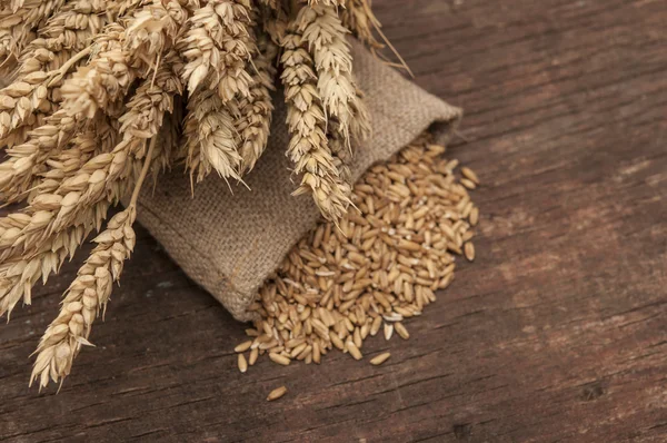 小麦と小麦の穂の完全な袋 — ストック写真