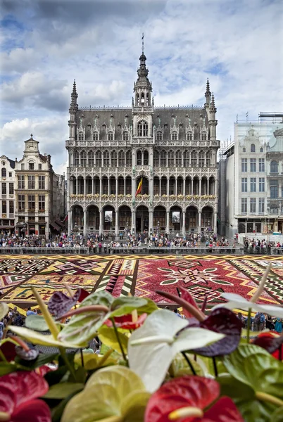 Flower Carpet in Front of King House or Het Broodhuis in Grand Place of Brussels — Stock Photo, Image