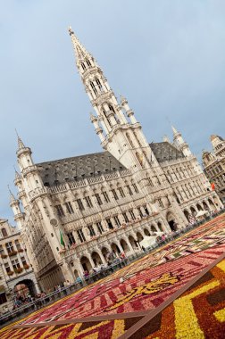 Brüksel Belediye Binası Grand Place çiçek halı Festivali sırasında