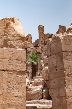 Karnak Tapınağı Mısırlı ram sokağı