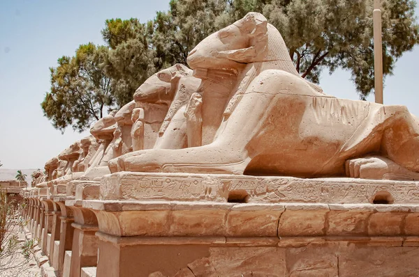 Египетская Аллея Храма Карнака — стоковое фото