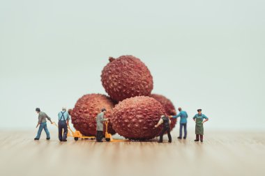 Miniature farmers loading lychees on pallet truck clipart