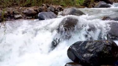 Bir orman nehrinin yakınına.