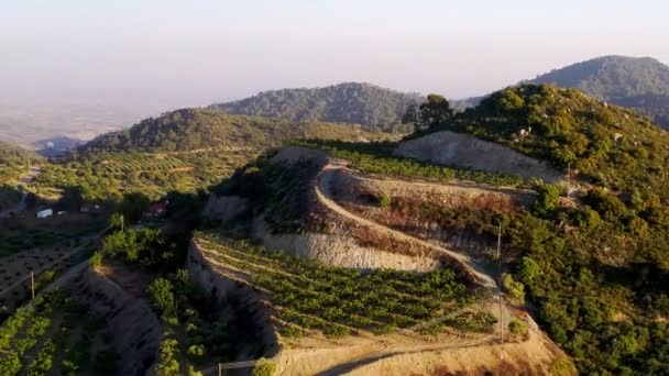 Plantações Vinha Nas Colinas Aldeia Pyrgos Limassol District Chipre — Vídeo de Stock