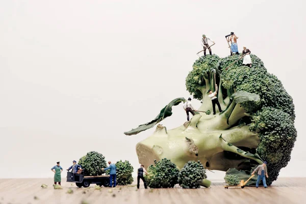 Groep Landarbeiders Broccoli Figuurtjes — Stockfoto