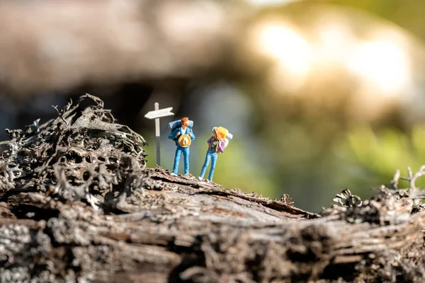 Casal Caminhantes Sinal Caminho Uma Floresta — Fotografia de Stock