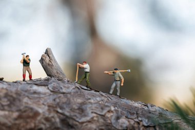 Ağaç kesen bir grup oduncu