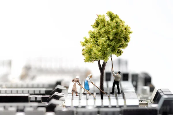 Tree Growth Out Mainboard Environment Concept — Stock Photo, Image