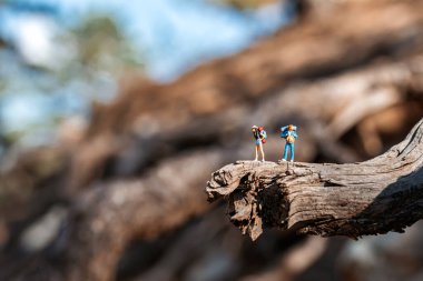 Sırt çantalı çift doğayı keşfediyor. Gezgin yaşam tarzı konsepti