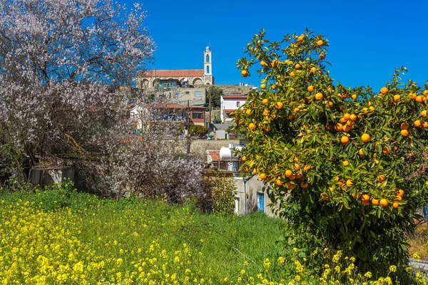 Село Келлакі Лімасол Кіпр — стокове фото