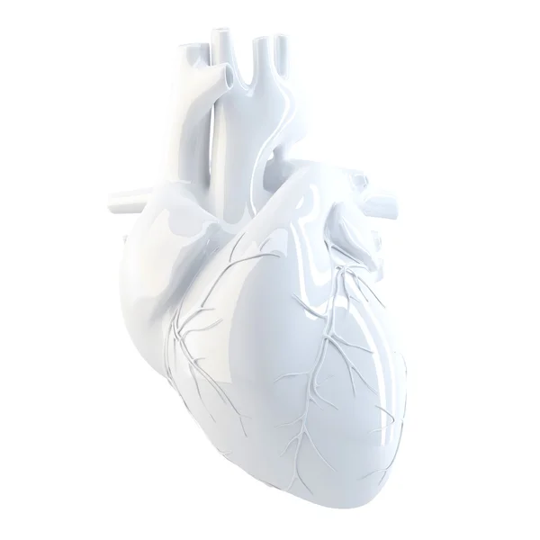Ανθρώπινη καρδιά. 3D καθιστούν. Απομονωμένες, περιέχει τη διαδρομή αποκοπής. — Φωτογραφία Αρχείου
