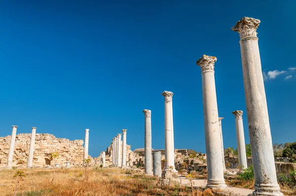 Antik Salamis şehir kalıntıları. Famagusta bölgesi. Kıbrıs — Stok fotoğraf