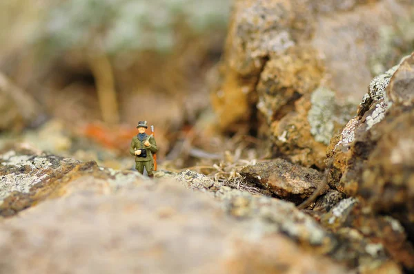Cacciatore di reto in miniatura . — Foto Stock