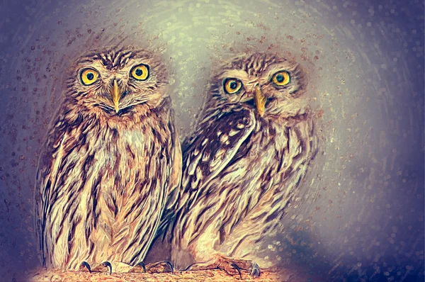 Athene Owl Illustration — Stock Photo, Image