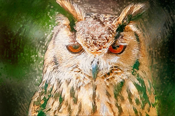 Drawn Owl Portrait — Stockfoto